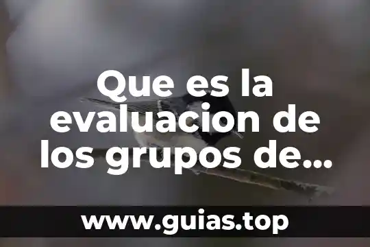 Que es sensibilizacion en grupos 3 Que es la evaluacion de los grupos de trabajo