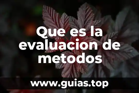 Que es evaluar y tipos de evaluacion 7 Que es la evaluacion de metodos
