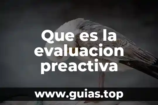 Que es evaluacion y los tipos 7 Que es la evaluacion preactiva
