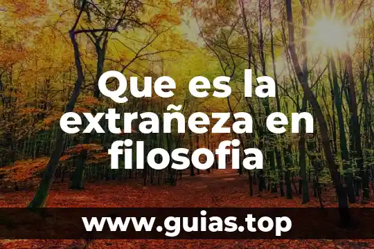 Qué es la filosofía según Ludwig Wittgenstein 6 Que es la extrañeza en filosofia