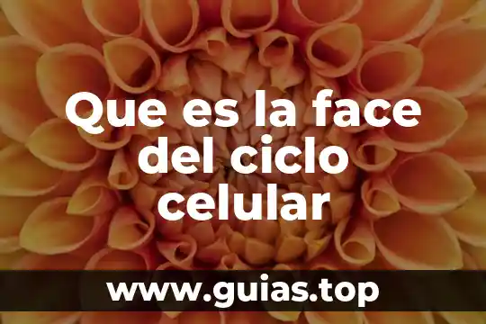 Que es un ciclo biogeoquimico yahoo 7 Que es la face del ciclo celular