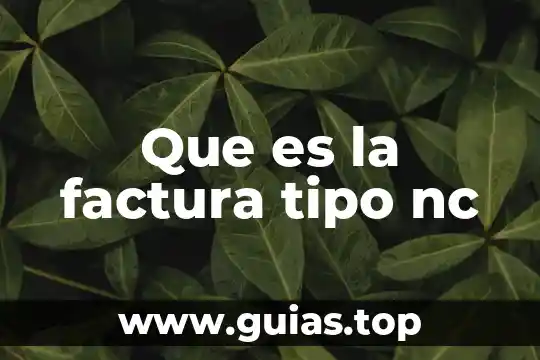 Dinero electronico que es en una factura 3 Que es la factura tipo nc
