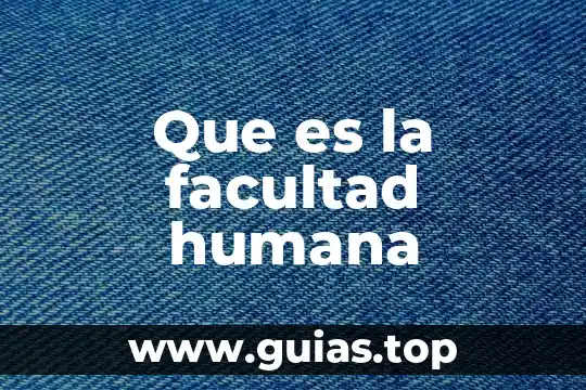 Qué es un trazo en la figura humana 6 Que es la facultad humana