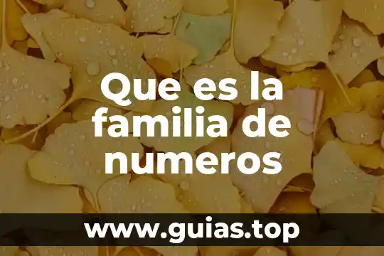 Qué es ordenar números 3 Que es la familia de numeros