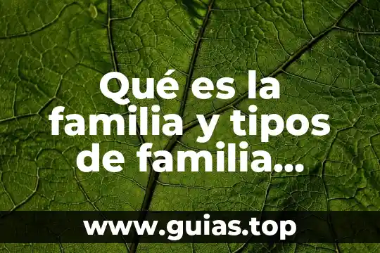 Que es tipos de bote en basquetbol 3 Qué es la familia y tipos de familia explicación