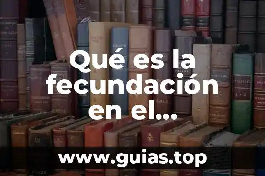 Que es muerte definicion de un diccionario 7 Qué es la fecundación en el diccionario