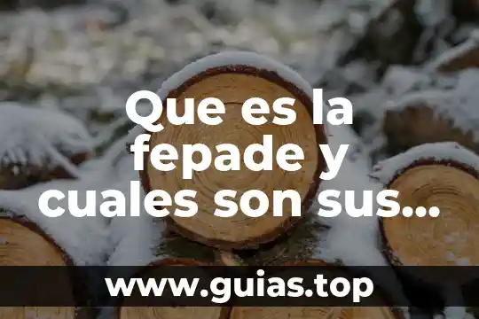 Que es el aborto cuales son los tipos que hay 7 Que es la fepade y cuales son sus funciones