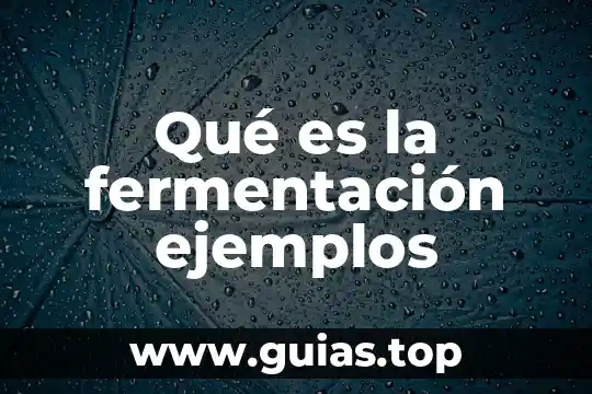 Qué es relato ejemplos 8 Qué es la fermentación ejemplos