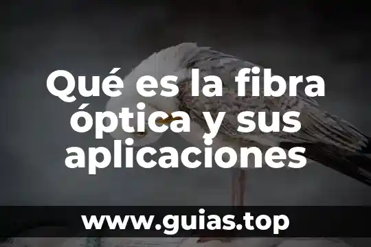 Qué es una empalmadora de arco eléctrico de fibra óptica 7 Qué es la fibra óptica y sus aplicaciones