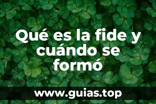Que es lo que sale cuando hacer split bota agua 4 Qué es la fide y cuándo se formó