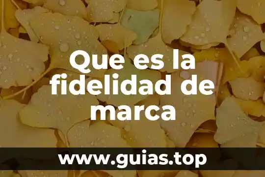 Marca rtw que es 3 Que es la fidelidad de marca