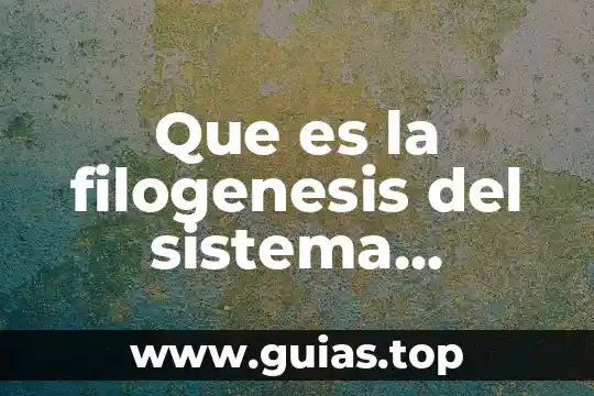 Que es el fruto planta 4 Que es la filogenesis del sistema nervioso