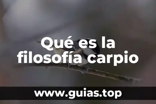 Filosofia que es el sueño 5 Qué es la filosofía carpio