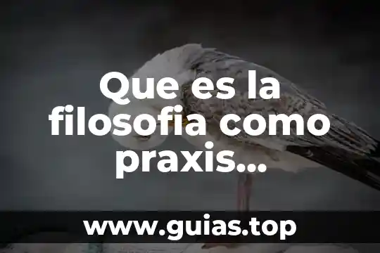 Qué es la filosofía para Ortega y Gasset 5 Que es la filosofia como praxis transformadora