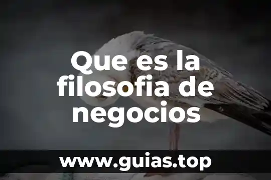 Que es la libertad de eleccion filosofia 6 Que es la filosofia de negocios