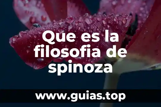 Qué es el fin filosofía 7 Que es la filosofia de spinoza