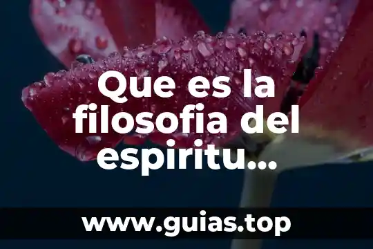 Que es ser de espiritu competitivo 8 Que es la filosofia del espiritu emprendedor