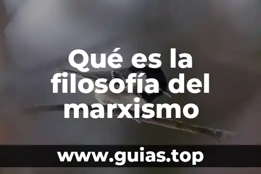 Qué es el fin filosofía 5 Qué es la filosofía del marxismo