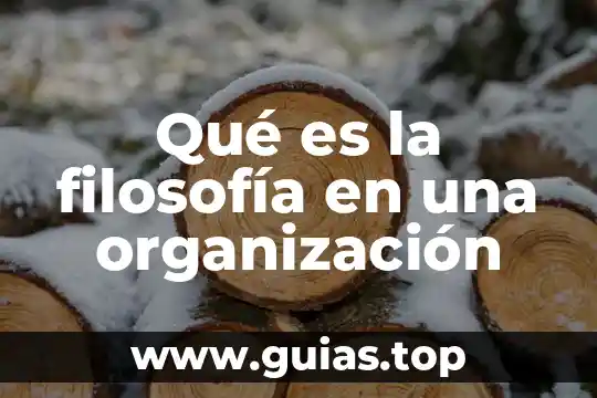 Qué es tiranía en filosofía 5 Qué es la filosofía en una organización