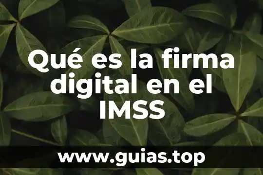 Que es una red de firma 4 Qué es la firma digital en el IMSS