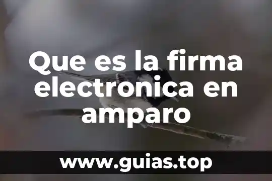 Que es una firma digital para drivers 5 Que es la firma electronica en amparo