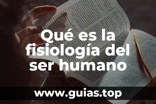 Que es la digestión en el humano 6 Qué es la fisiología del ser humano