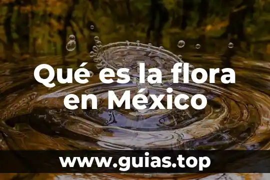 Que es un grupo indijenas en mexico 4 Qué es la flora en México