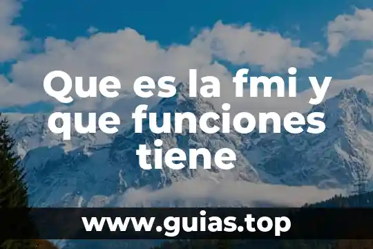 Que es la fmi y que funciones tiene