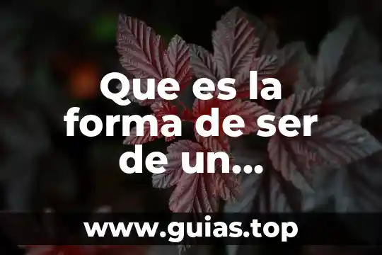 Que es ser eleitista 3 Que es la forma de ser de un individuo