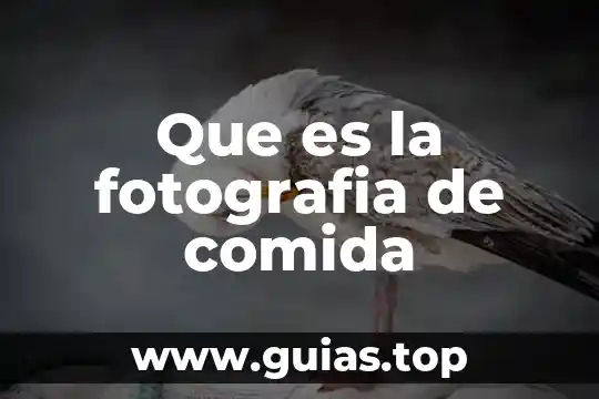 Que es comida típicda 5 Que es la fotografia de comida
