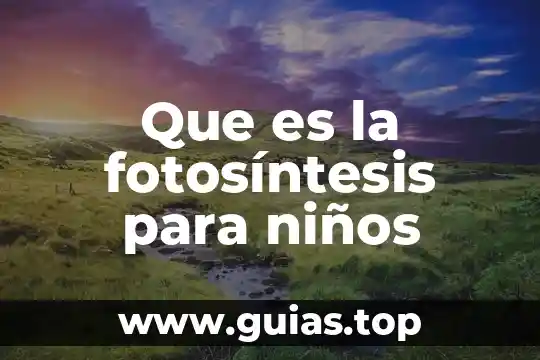 Que es la fotosintesis que necesita la planta para realizarla 5 Que es la fotosíntesis para niños