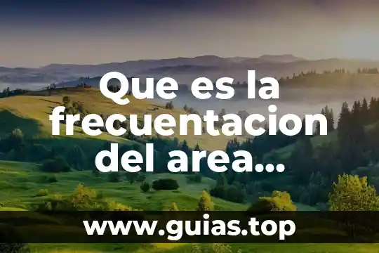 Ser estudiante regular que es 8 Que es la frecuentacion del area marítima del sector