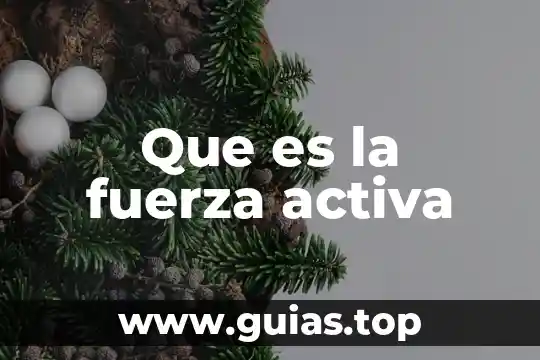 Que es una pausa activa en primaria 3 Que es la fuerza activa
