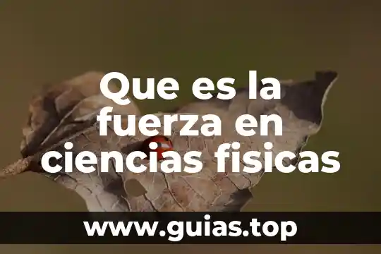 Qué es el Código Civil derechos de personas físicas 4 Que es la fuerza en ciencias fisicas