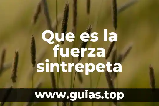 Qué es el concepto de fuerza 3 Que es la fuerza sintrepeta
