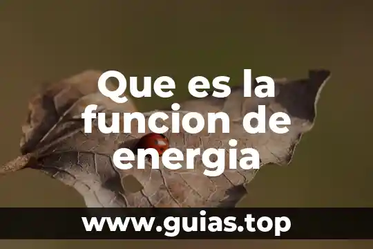 Que es funcion apelativo 5 Que es la funcion de energia