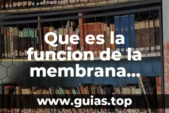 Que es un examen parcial y cual es su funcion 6 Que es la funcion de la membrana celular