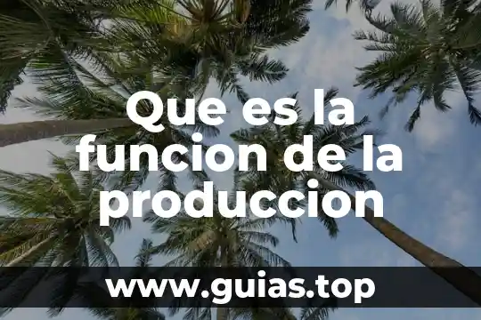 Que es un proyecto de produccion 8 Que es la funcion de la produccion