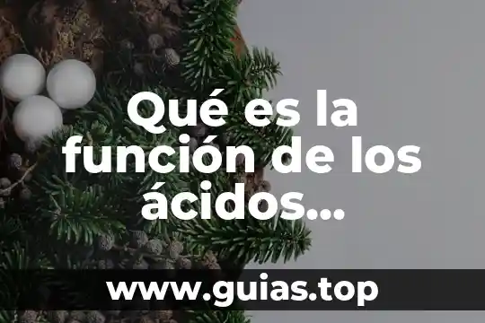 Que es el metabolismos de los acidos nucleicos 7 Qué es la función de los ácidos nucleicos