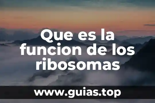 Que es potestad de administrar justicia 5 Que es la funcion de los ribosomas