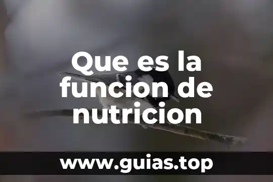 Qué es fdn en nutrición animal 5 Que es la funcion de nutricion