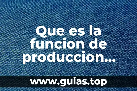 Que es la funcion expresiva y sintomatica 3 Que es la funcion de produccion agregada