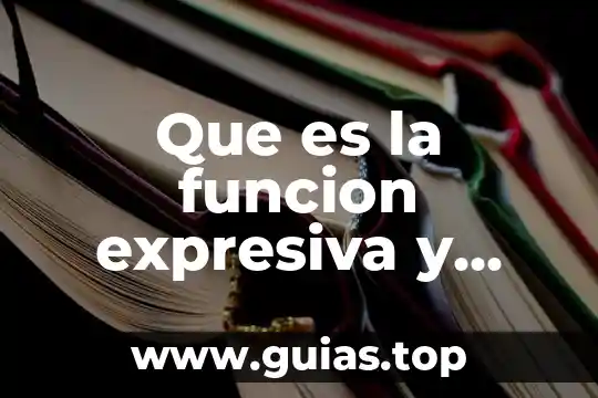 Que es la funcion potencial de un campo vectorial 6 Que es la funcion expresiva y sintomatica