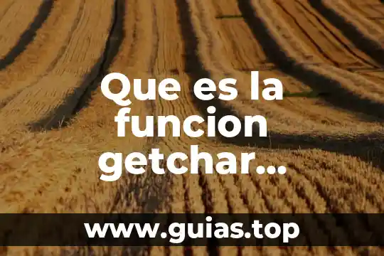 Qué es antilogía concepto y ejemplo 4 Que es la funcion getchar ejemplo alegsa