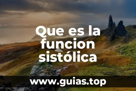 Que es una funcion y como se simboliza 6 Que es la funcion sistólica