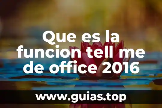 Que es funcion apelativo 8 Que es la funcion tell me de office 2016