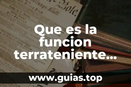 Que es la funcion expresiva y sintomatica 7 Que es la funcion terrateniente portuatia