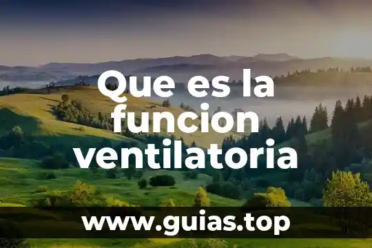 Que es un examen parcial y cual es su funcion 3 Que es la funcion ventilatoria