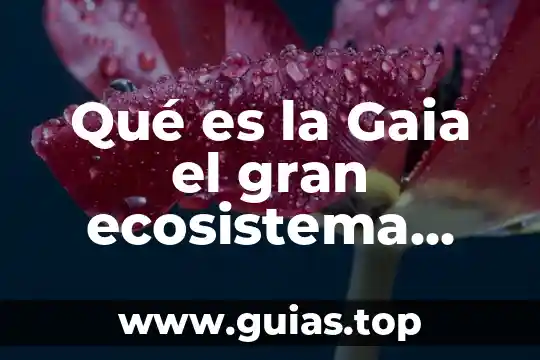 Que es un resumen como se hace 8 Qu茅 es la Gaia el gran ecosistema resumen