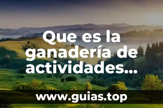 Que es un eritema en lesiones primarias 5 Que es la ganadería de actividades primarias